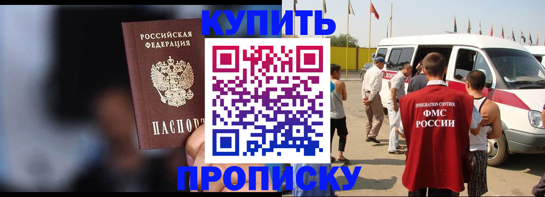 прописка поиск в Сафоново